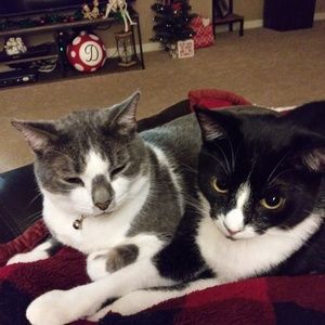 Meet your Posher, Lj